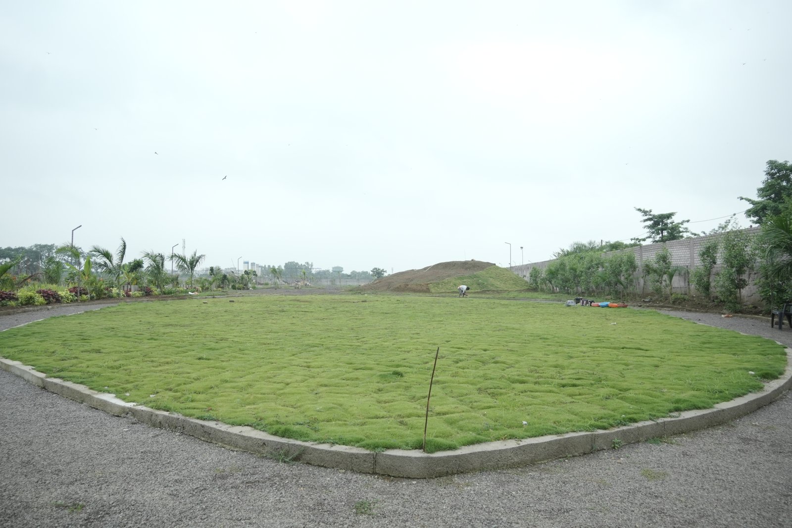 S G PARK Photo 3
