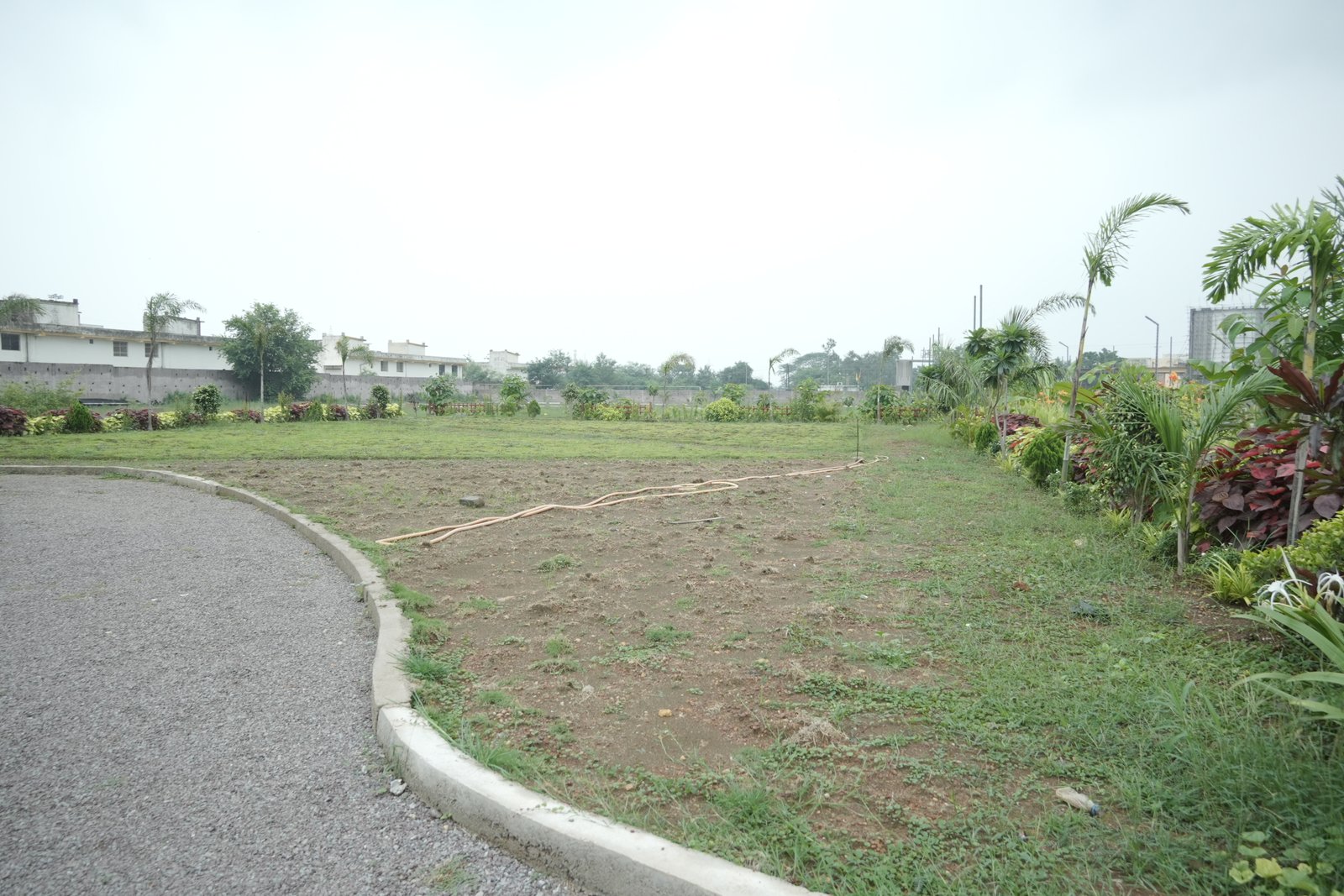 S G PARK Photo 4