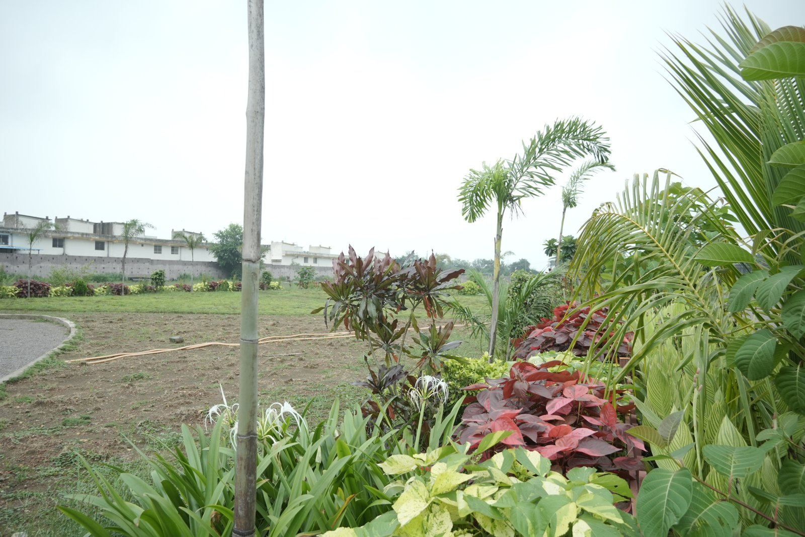 S G PARK Photo 7